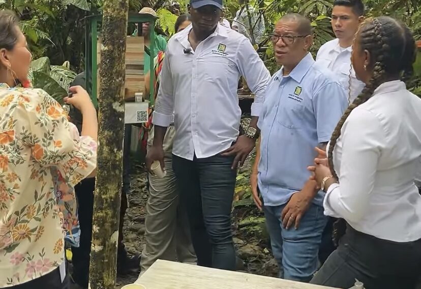 El IIAP avanza en investigaciónes de las abejas sin aguijón en el Chocó