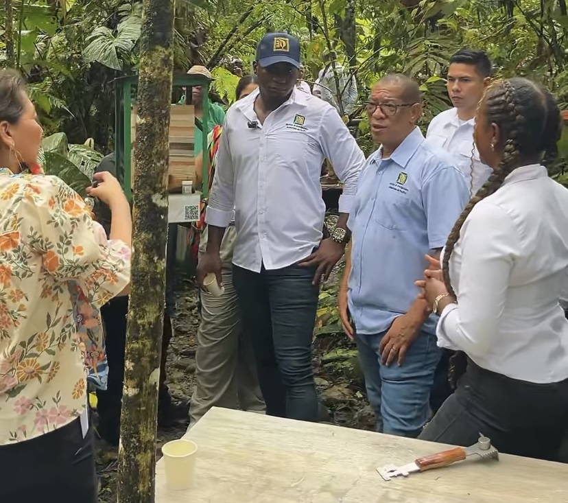 El IIAP avanza en investigaciónes de las abejas sin aguijón en el Chocó
